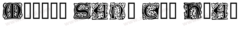 Morris Sans Com Heav字体转换